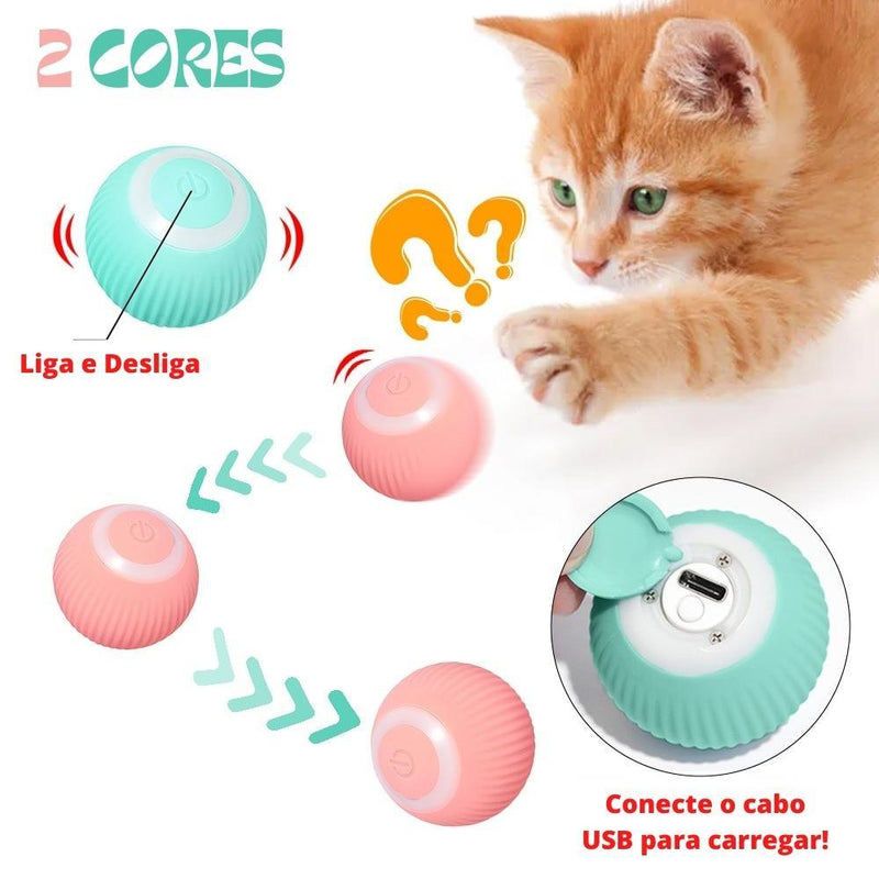 Pet ZOOM - Bolinha elétrica automática que se move sozinha, interativa, para Gatos e Cachorros Pequenos - Inov&tec