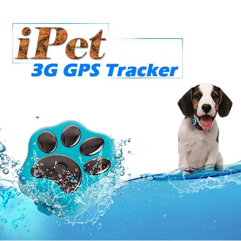 Smart Pet Coleira GPS iPet Guard Smart
